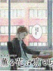 恒星视频推荐 极限挑战